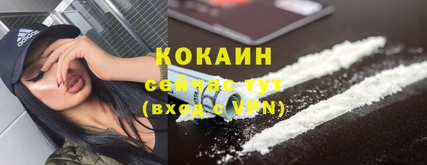 стаф Богданович