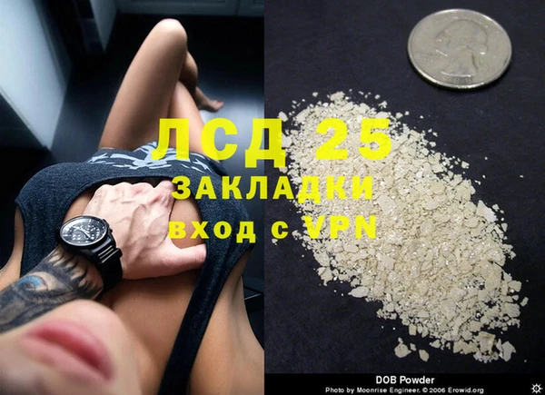 шишки Белоозёрский