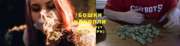 стаф Богданович