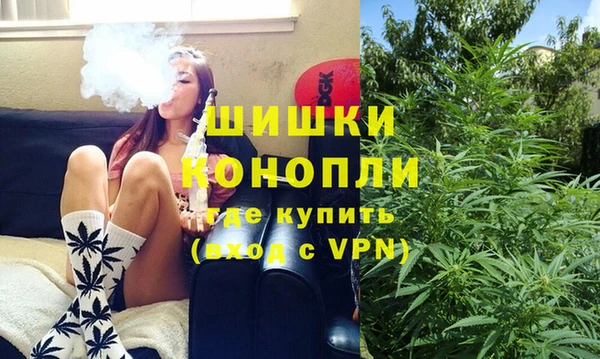 шишки Белоозёрский