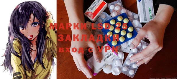 стаф Богданович