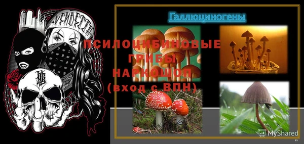 твердый Белокуриха
