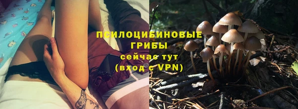 шишки Белоозёрский