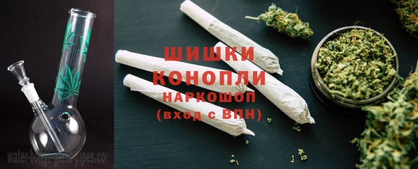 стаф Богданович