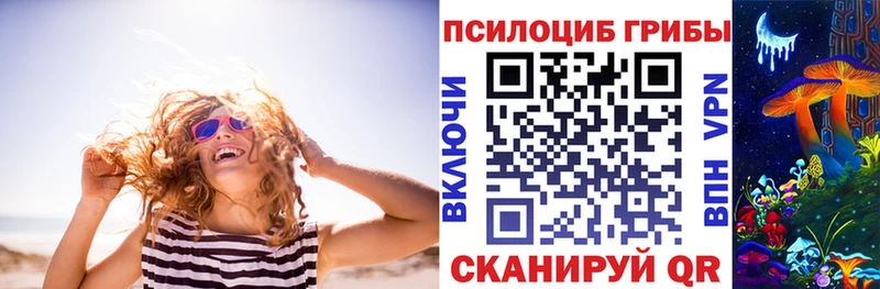 Галлюциногенные грибы GOLDEN TEACHER  МЕГА сайт  Буйнакск 